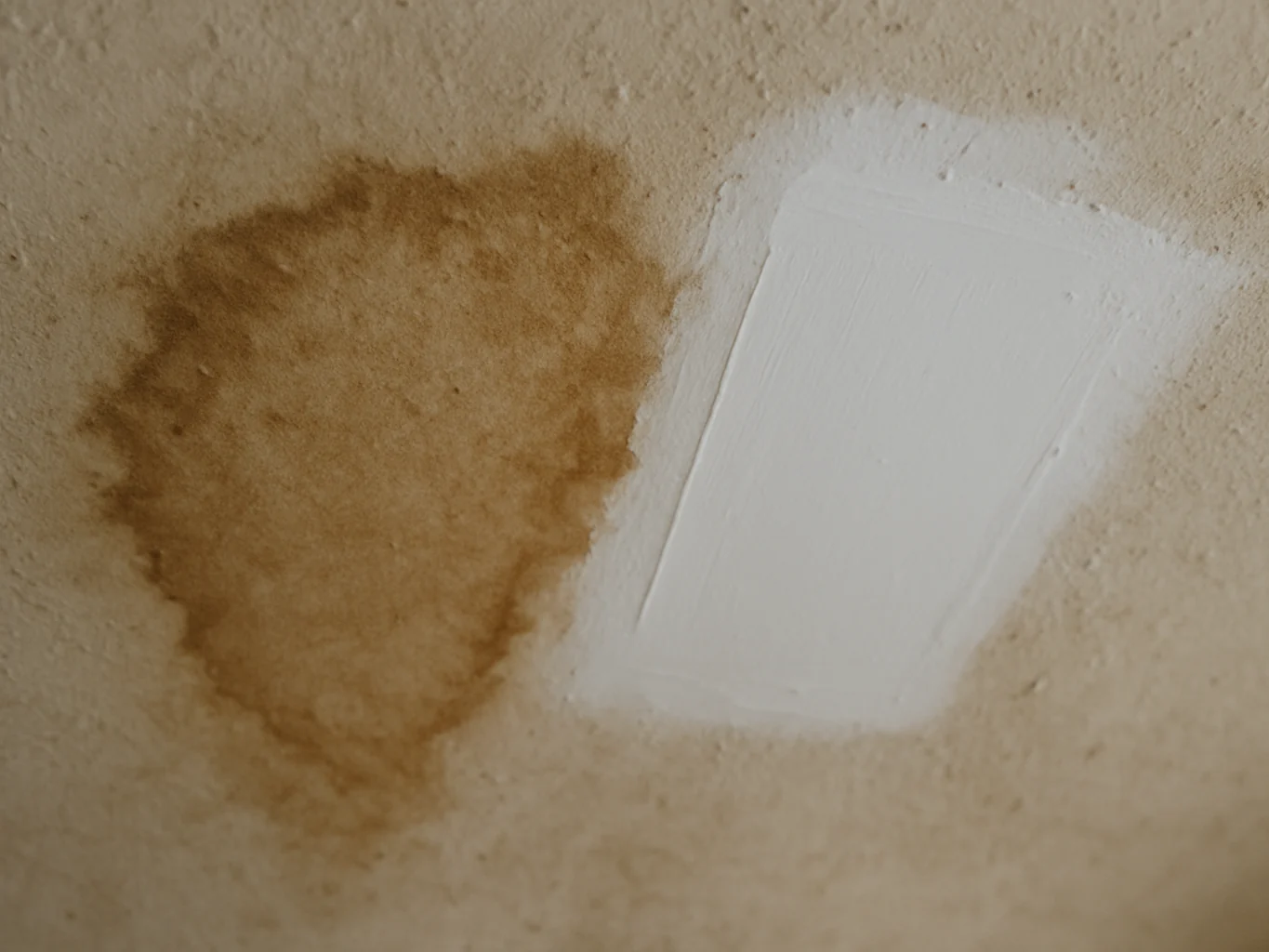 Ceiling repair partway through